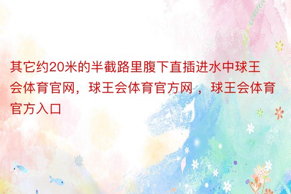 其它约20米的半截路里腹下直插进水中球王会体育官网，球王会体育官方网 ，球王会体育官方入口